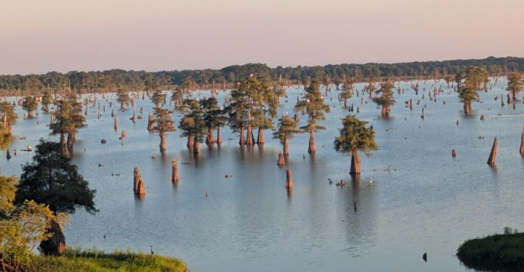 16 Affordable Louisiana Day Trips Filled With Food, History, and Southern Charm
