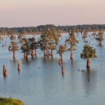 16 Affordable Louisiana Day Trips Filled With Food, History, and Southern Charm