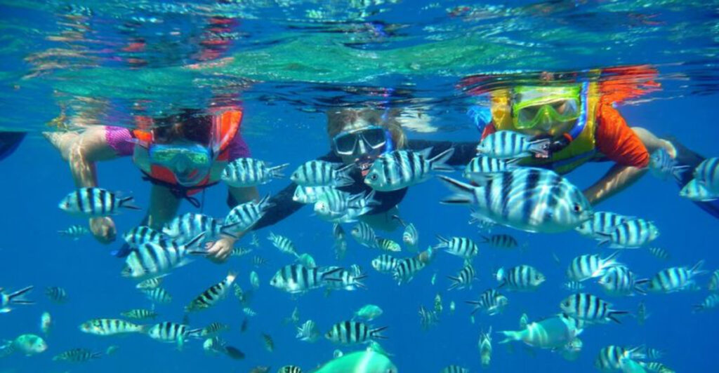 17 Best Snorkeling and Diving Destinations in the World for Beginners and Experienced Travelers