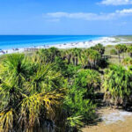 19 Affordable Florida Day Trips That Feel Like Mini Vacations