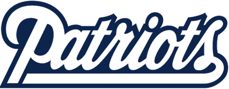 2007 New England Patriots