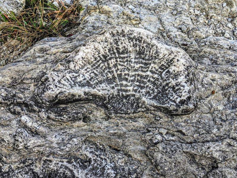 375 Million Years of History Under Your Feet 375 Million Years of History Under Your Feet