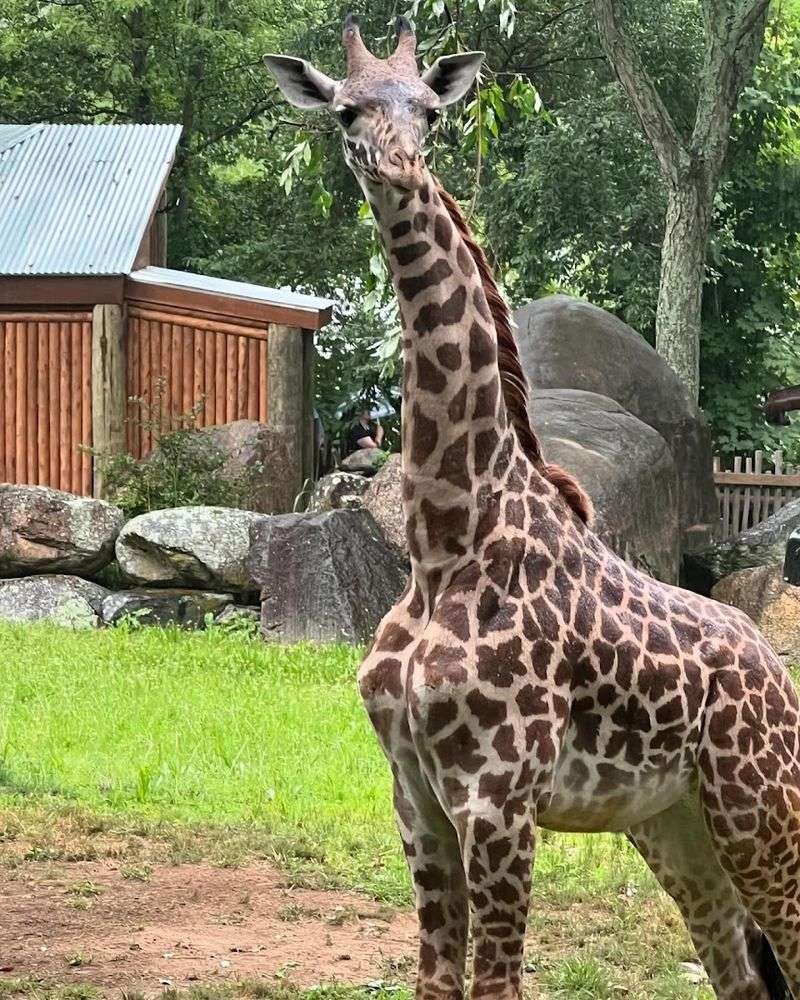 40 Acres of Animals, Trails, and Surprises 40 Acres of Animals, Trails, and Surprises