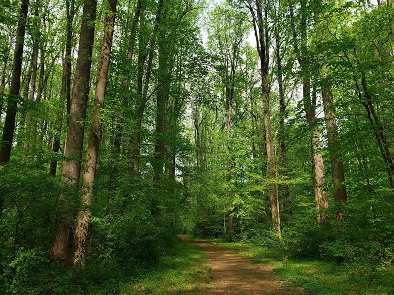 589 Acres of Trails, Trees, and Open Sky