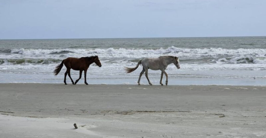 9 Little-Known Virginia Beaches So Beautiful We Almost Didn’t Share Them