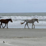 9 Little-Known Virginia Beaches So Beautiful We Almost Didn’t Share Them
