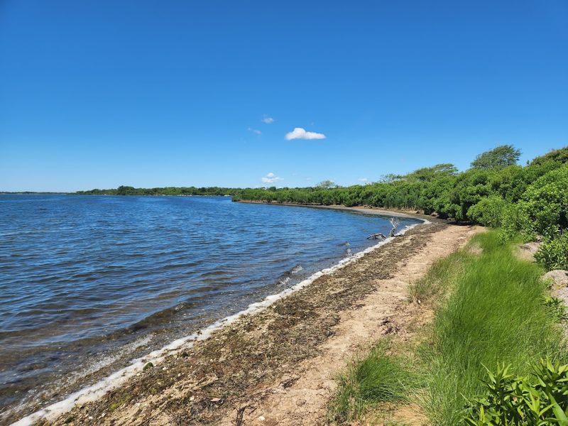 900 Acres of Coastal Wetland Worth Understanding 900 Acres of Coastal Wetland Worth Understanding