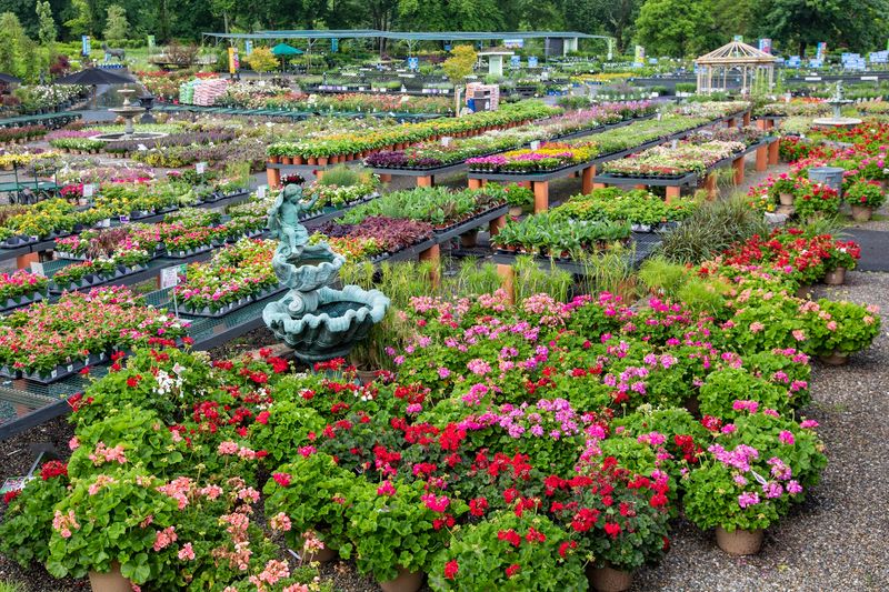 A 30-Acre Address Worth Knowing