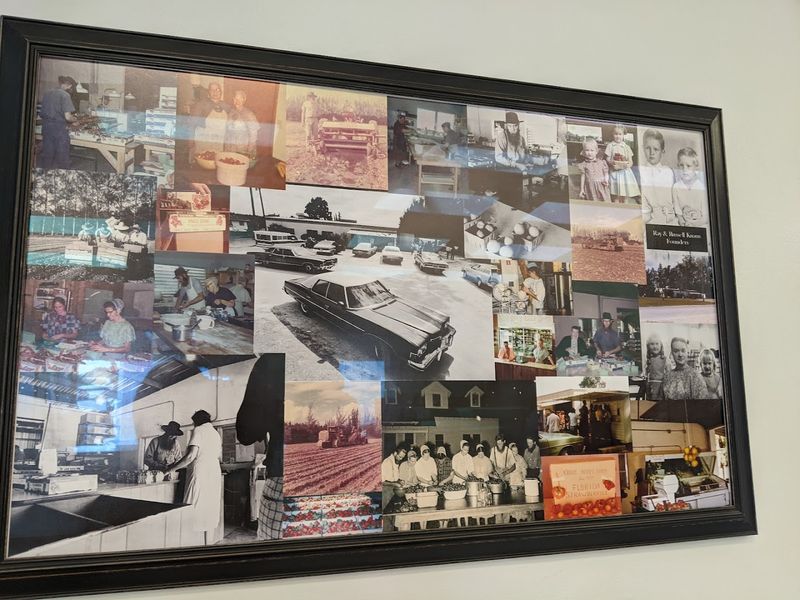 A Brief History of the Farm