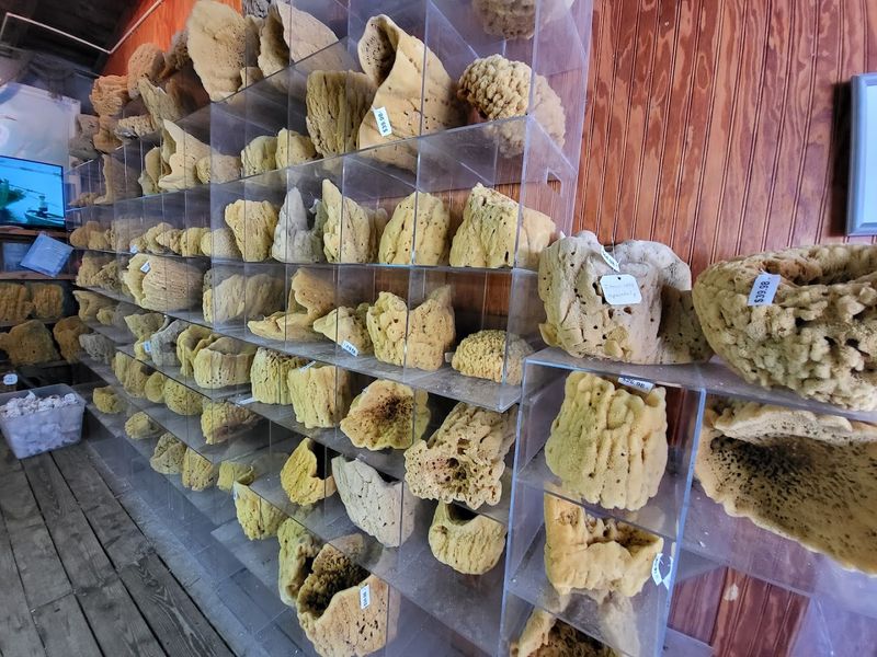 A Century of Sponge Diving History