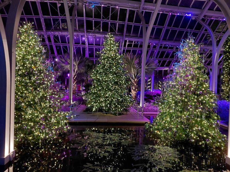 A Christmas Experience That Earns Its Own Category