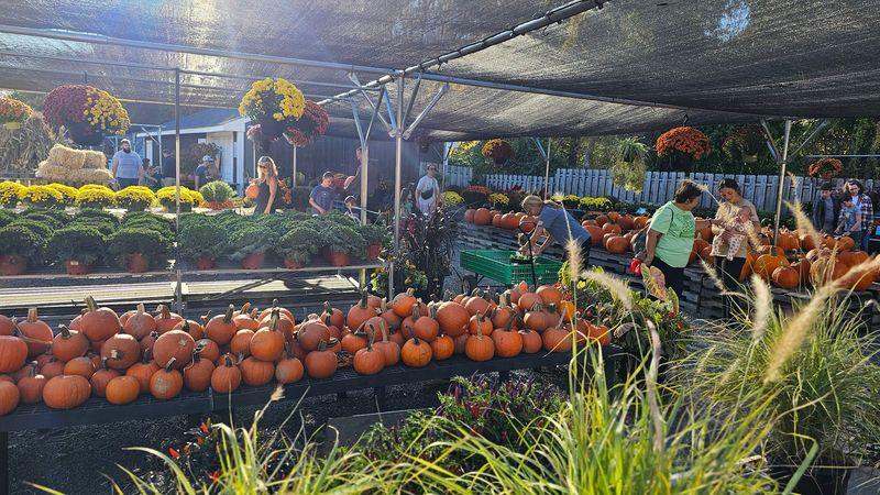 A Community Spot That Feels Like a Neighborhood Tradition