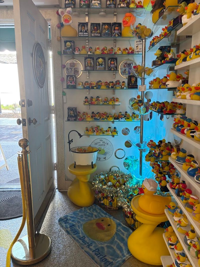 A Concept That Actually Works: The Full Duck Theme