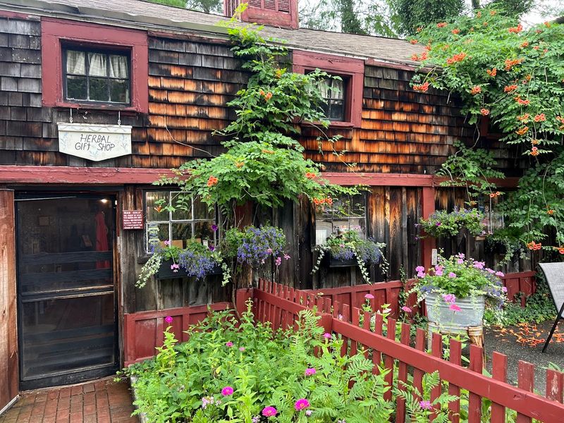 A Cottage at the End of Nutting Hill Road
