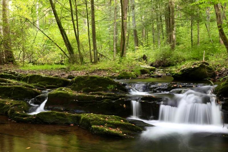 A Creek That Runs the Whole Way