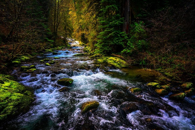 A Creek That Steals the Show at Every Turn