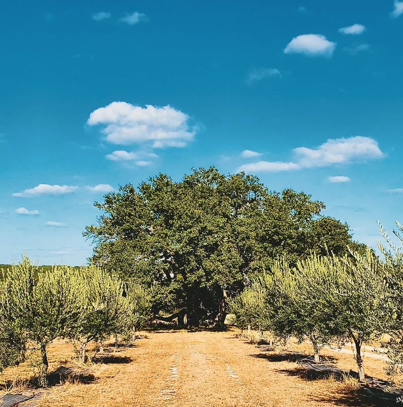 A Day Trip Pairing: Fitzhugh Road and Beyond A Day Trip Pairing: Fitzhugh Road and Beyond