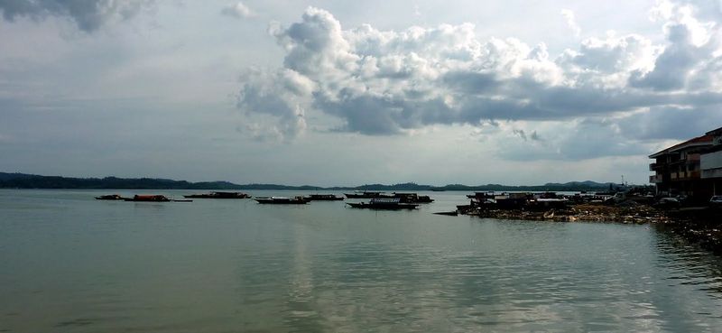 A Diet Built Entirely from the Sea