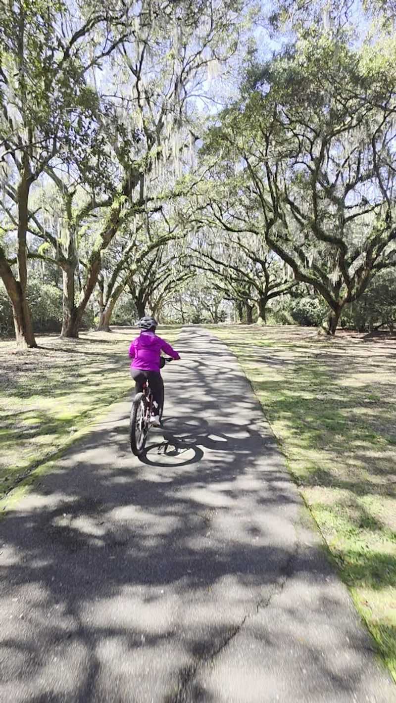 A Dog-Friendly Destination Worth Knowing About