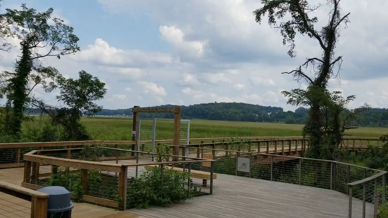 A Family-Friendly Space With More Than Just a Walk