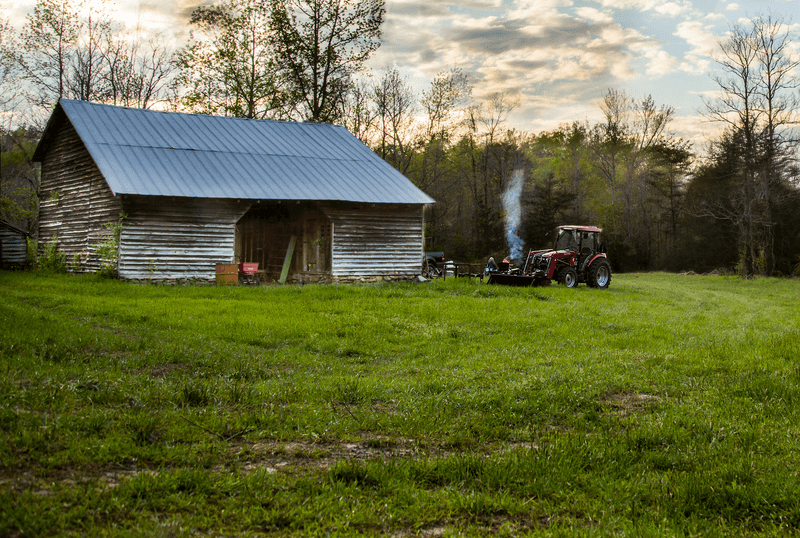A Family-Owned Farm With Real Heart