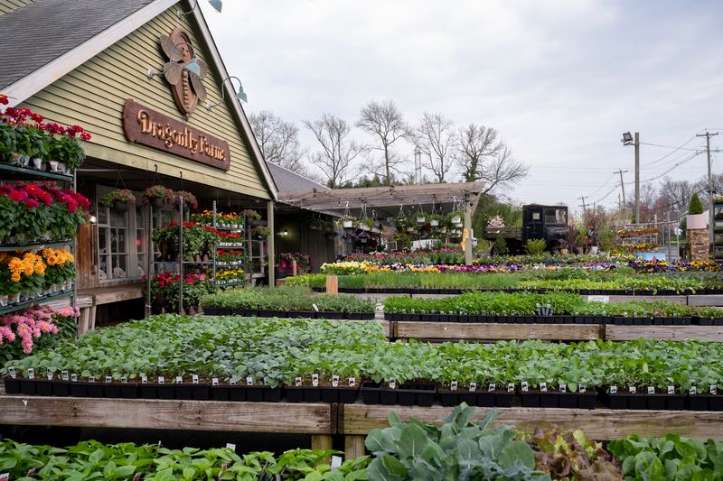 A Family-Owned Story Worth Knowing