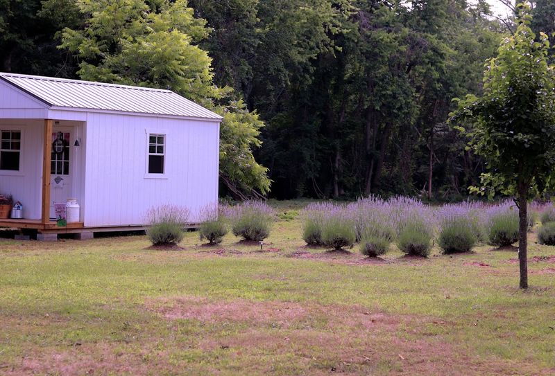 A Farm Built for Family Visits
