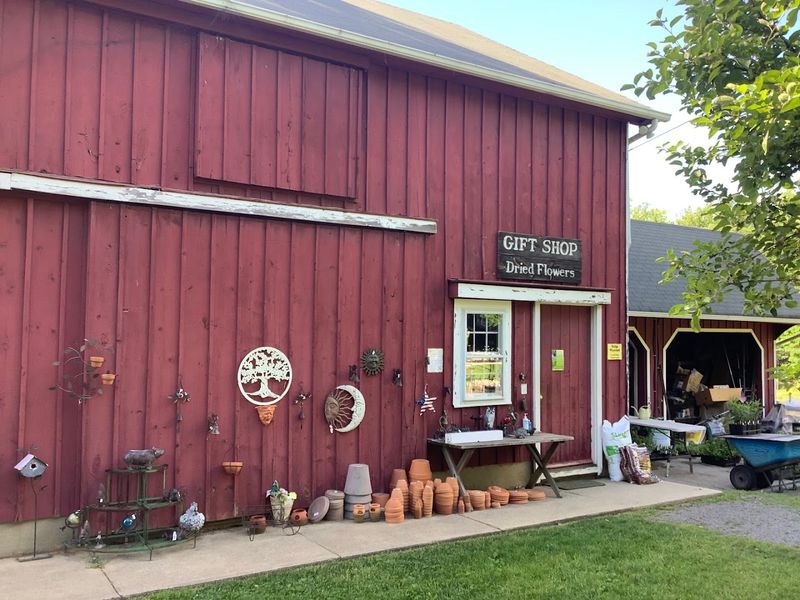 A Farm Rooted in a Very Specific Place A Farm Rooted in a Very Specific Place