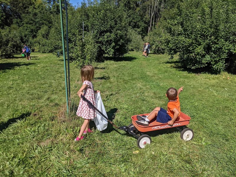 A Farm That Keeps Kids Genuinely Entertained