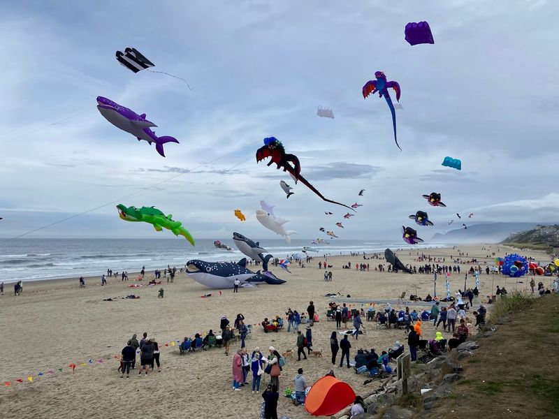 A Festival With Deep Roots in Oregon Kite Culture
