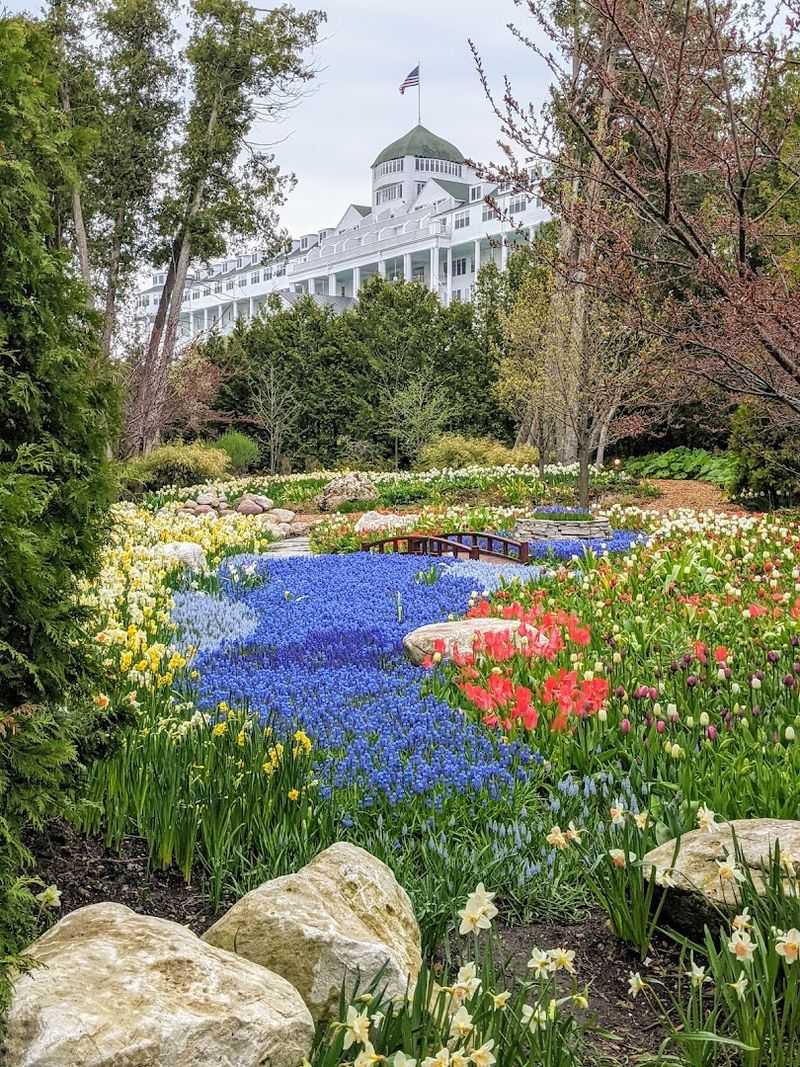 A Garden That Welcomes Everyone