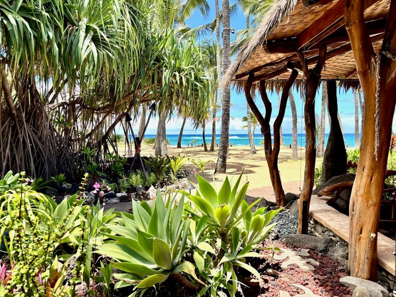 A History Rooted in Aloha Spirit