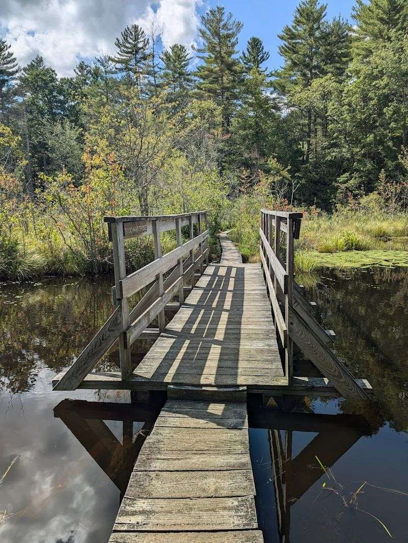 A History Worth Knowing: How This Conservation Land Came to Be A History Worth Knowing: How This Conservation Land Came to Be
