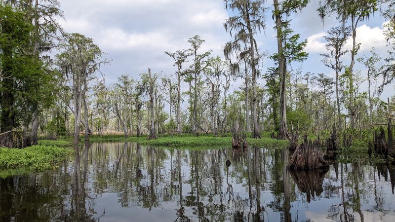 A Lake Hidden in Plain Sight