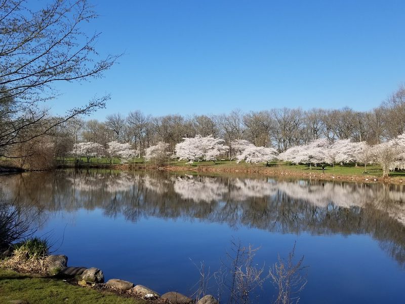A Lake That Does More Than Just Look Pretty