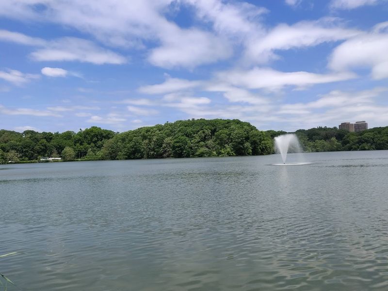 A Lake That Holds Records and Reflections