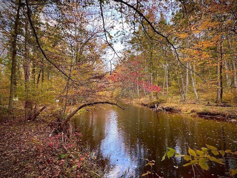A Landscape More Varied Than You Might Expect A Landscape More Varied Than You Might Expect