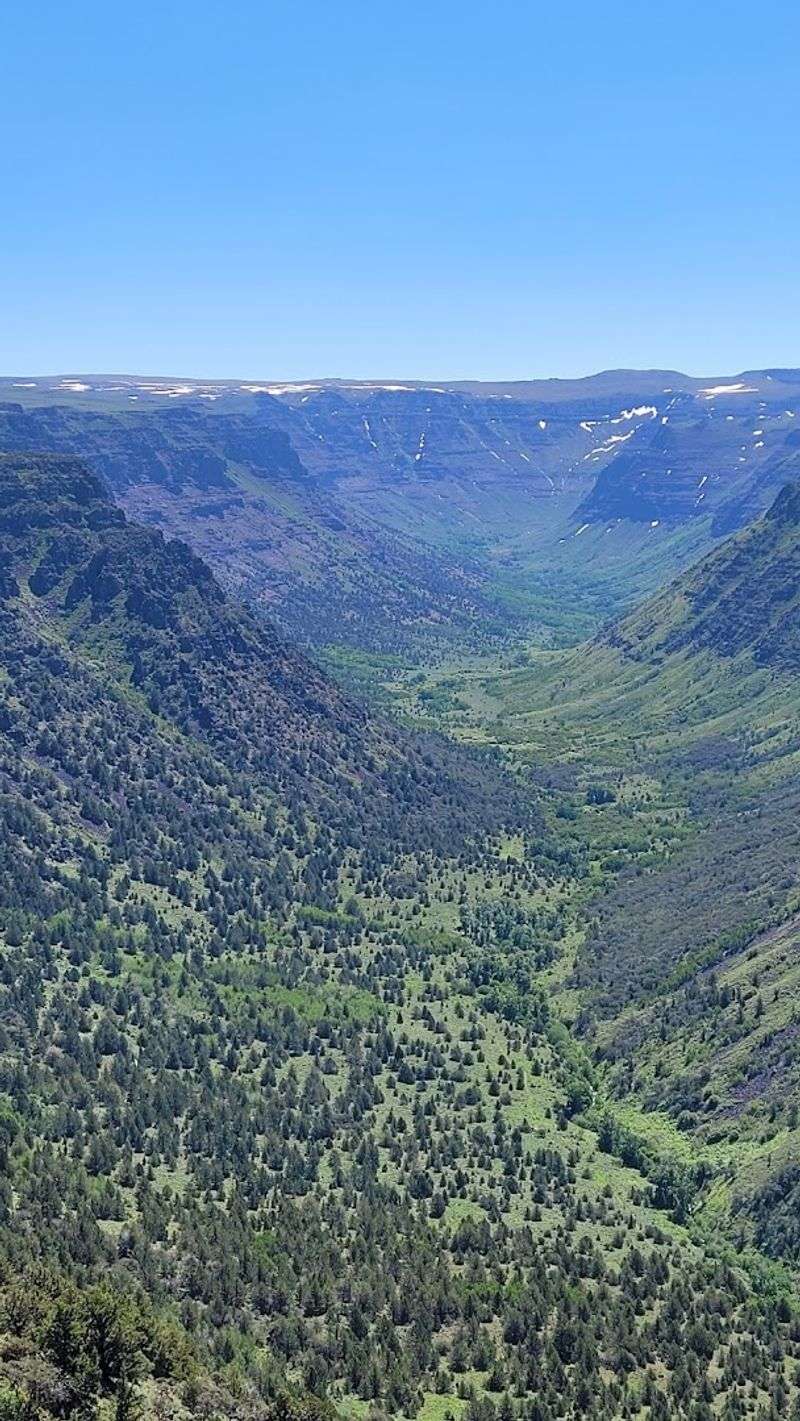 A Landscape That Stops You Cold