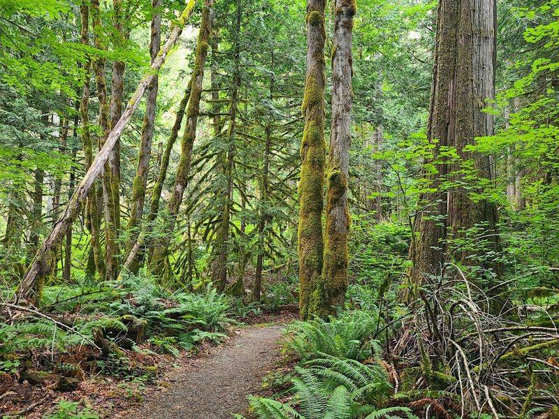 A Loop Trail That Works for Everyone
