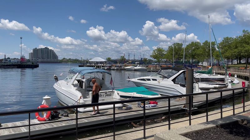 A Marina With 50 Slips Right on the River