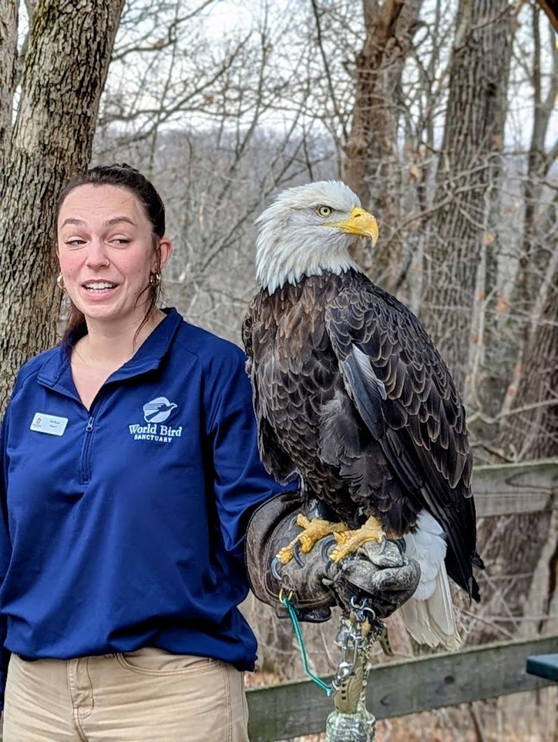 A Mission Built Around Saving Birds A Mission Built Around Saving Birds