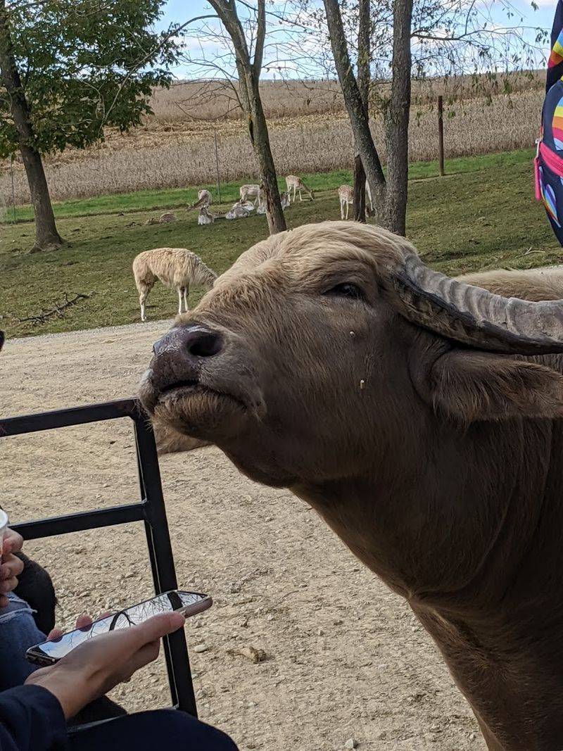 A One-of-a-Kind Ohio Experience Worth Every Mile of the Drive