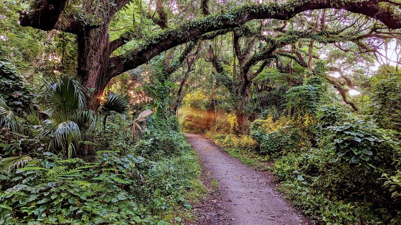 A Park That Actually Feels Like an Escape