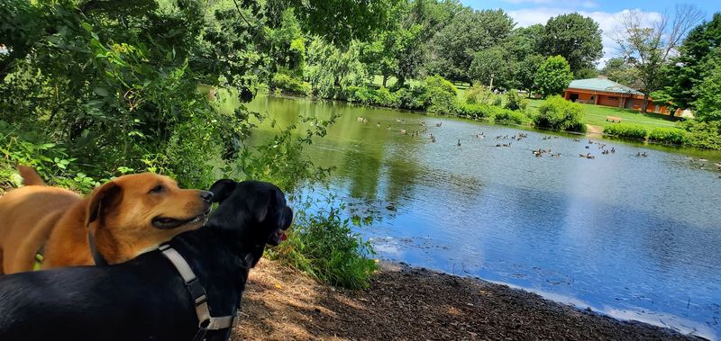 A Park That Works for Dogs and Their People Too