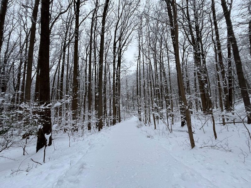 A Park for Every Season A Park for Every Season