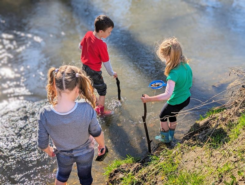 A Perfect Outing for Families with Kids