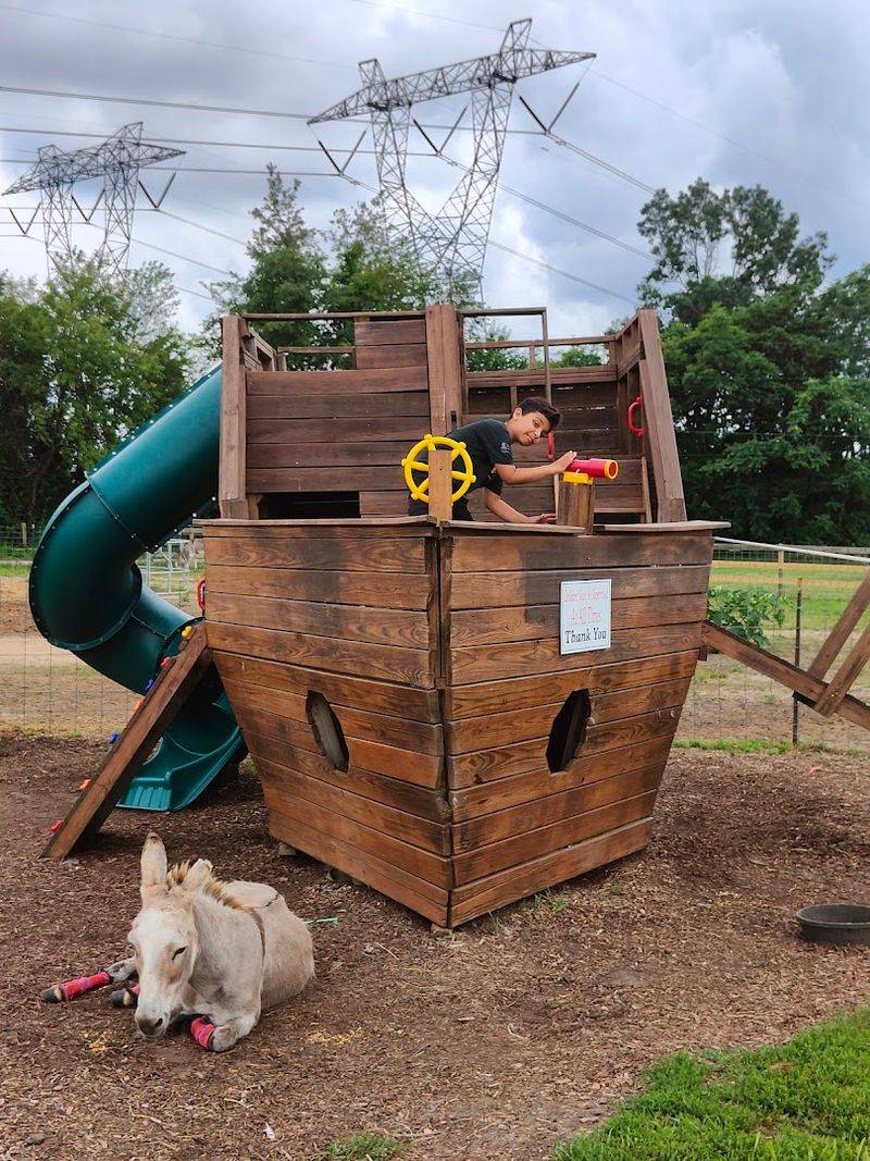 A Playground That Rounds Out the Visit