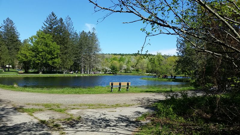 A Pond, a Brook, and the Kind of Scenery That Stops You Mid-Stride