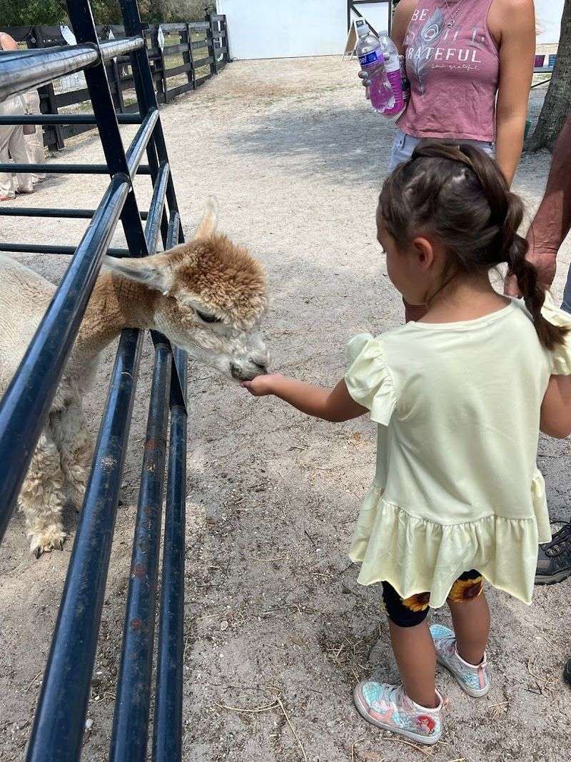 A Roster of Animals Worth Meeting