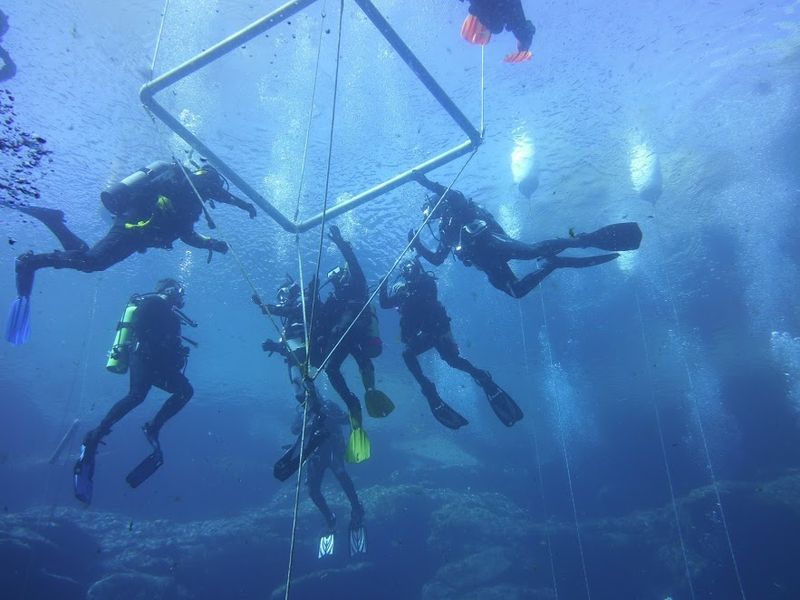 A Scuba Diver's Desert Oasis A Scuba Diver's Desert Oasis
